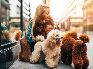 petsitter animaux